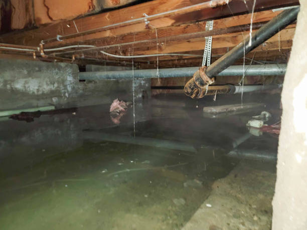Best Water damage cleanup near me  in Valley Cottage, NY