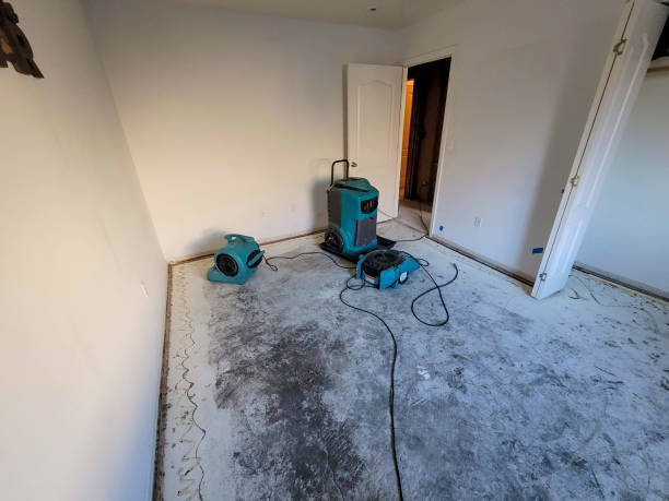 Best Local water damage restoration  in Valley Cottage, NY